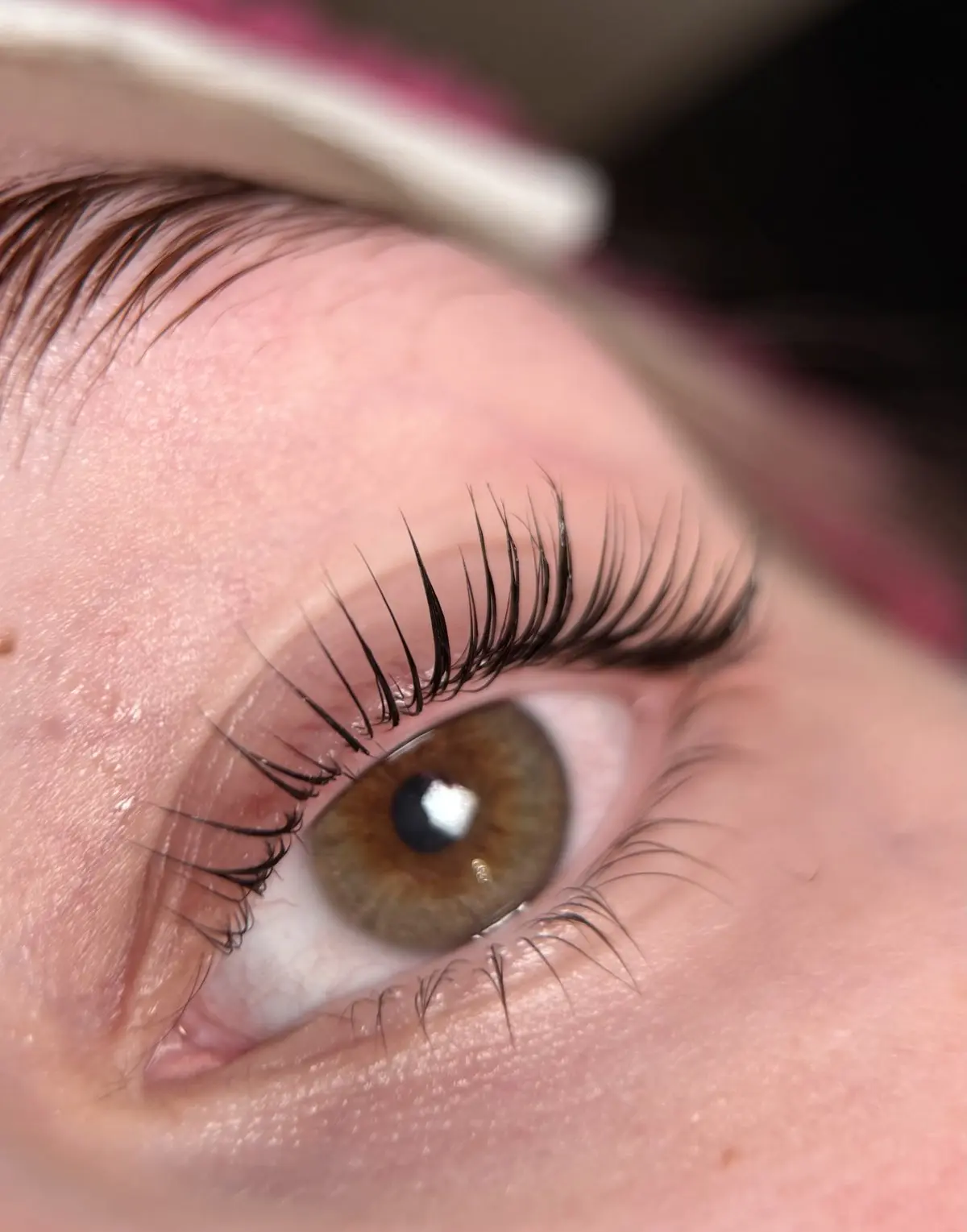 Professionelles Lash Lifting - Wimpernlifting bei FALYN Innsbruck